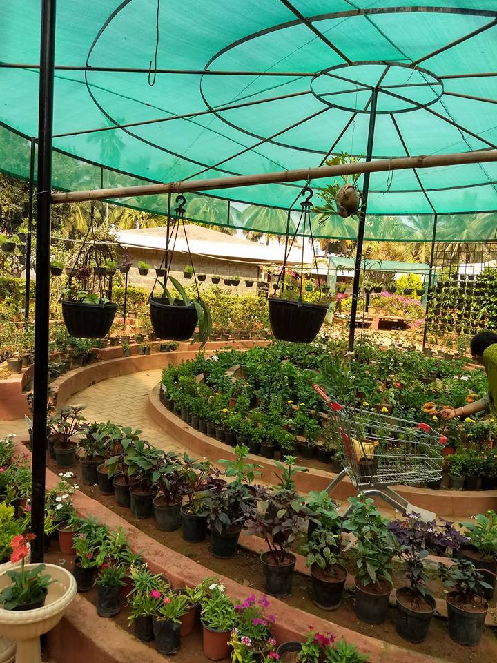 26196046_781427338710947_2507612866335590007_n