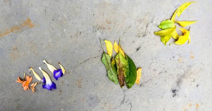 44136746_964463203740692_1514950534279200768_o