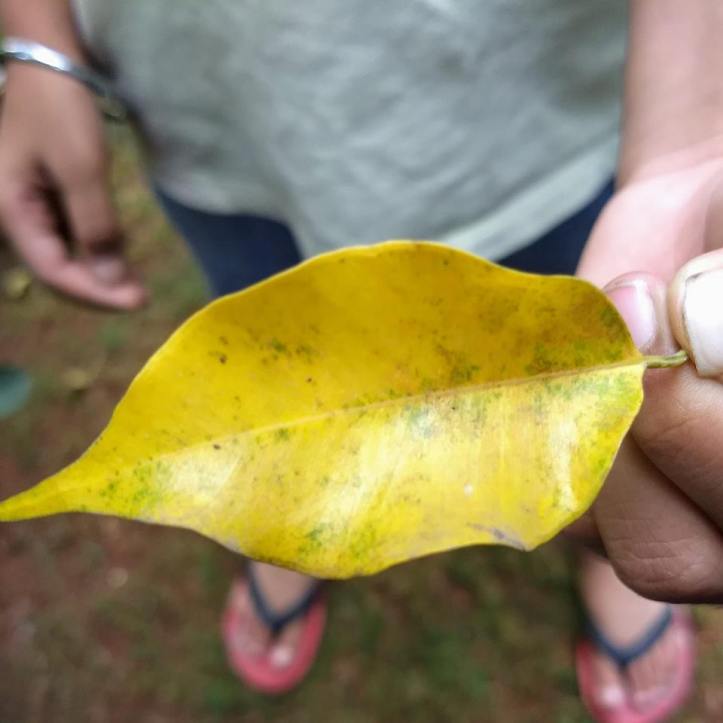 44331991_966174200236259_8984267754332749824_n